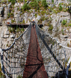 Cape Canopy Tour