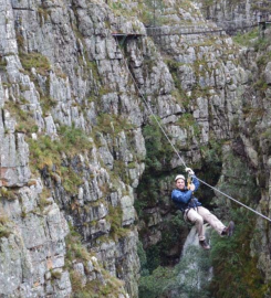 Cape Canopy Tour