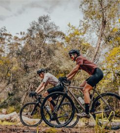 GravDuro / Red Cherry