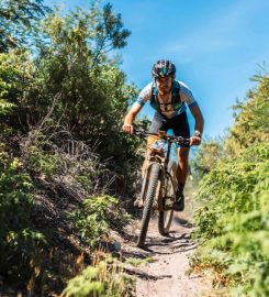 GravDuro / Red Cherry