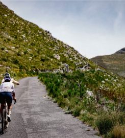 GravDuro / Red Cherry