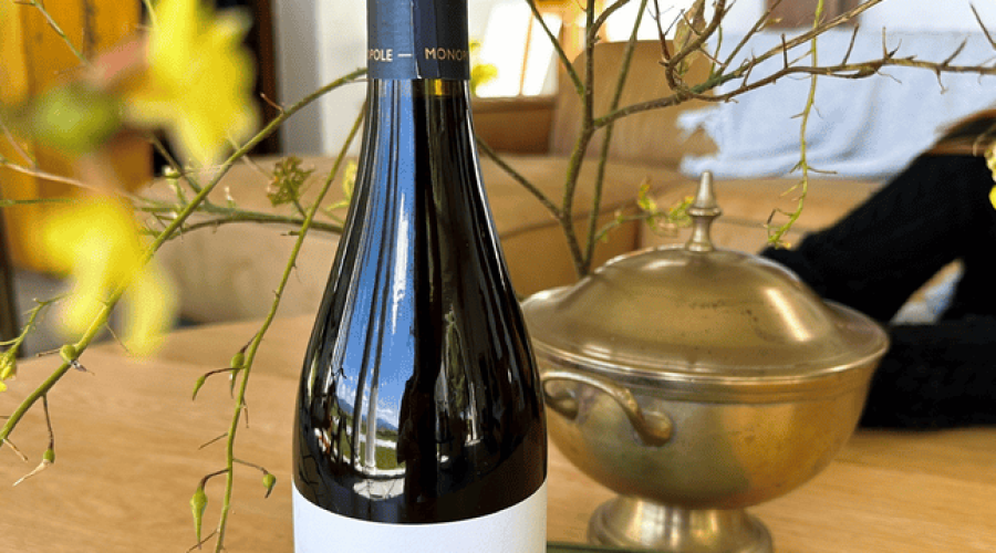 Spring Wine Tastings: Sip the Season at Elgin’s Cool-Climate Estates