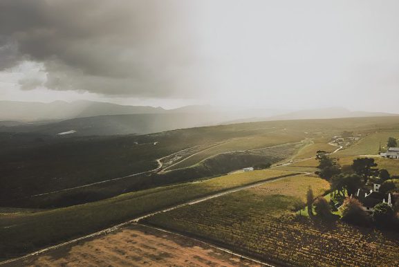sipping stories illustrated by an aerial image of iona wines vineyards