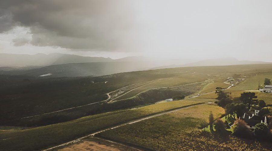 Sipping Stories: Uncovering Elgin’s Cool-Climate Wine Secrets