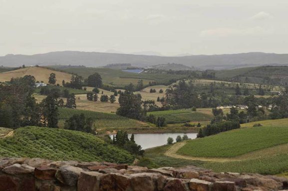 Lush green trees and natural landscapes in Elgin Valley