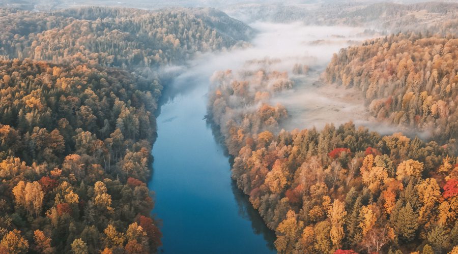 The Best Time to Visit Elgin Valley: A Seasonal Travel Guide