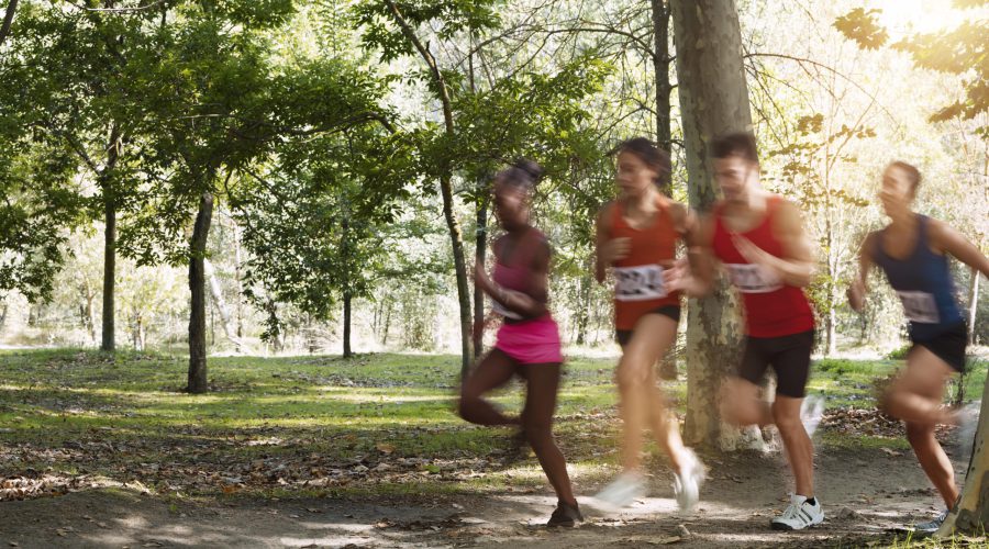 Championship Escape: Your Elgin Valley Getaway Guide