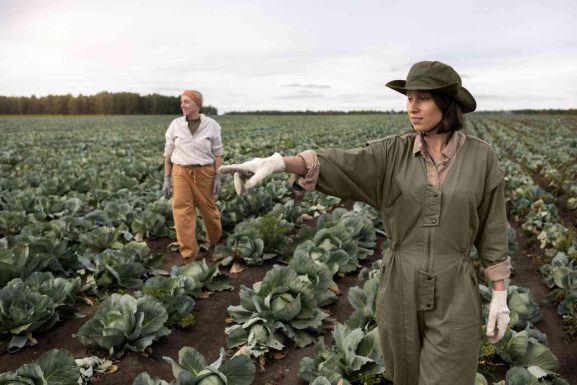 Workers’ Day appreciation shown by farm workers in Elgin working together during harvest, reflecting effort, teamwork, and local pride.