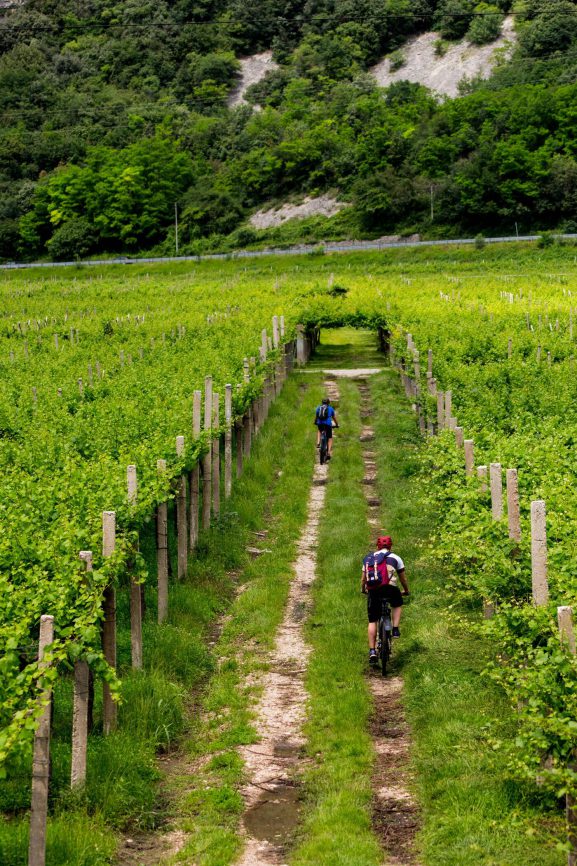 Participants moving along open farm trails at Oak Valley Xtreme Elgin surrounded by vineyards and mountain views