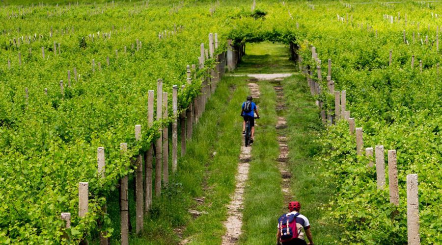 Oak Valley Xtreme Elgin Valley: A Scenic Outdoor Experience in Nature