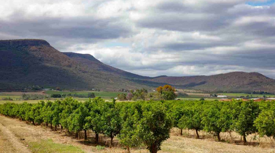 The Best Time to Visit Elgin Valley: A Seasonal Travel Guide
