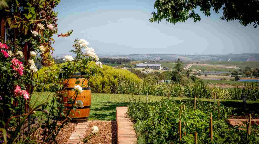 Food, Wine and Farm Life in Elgin Valley