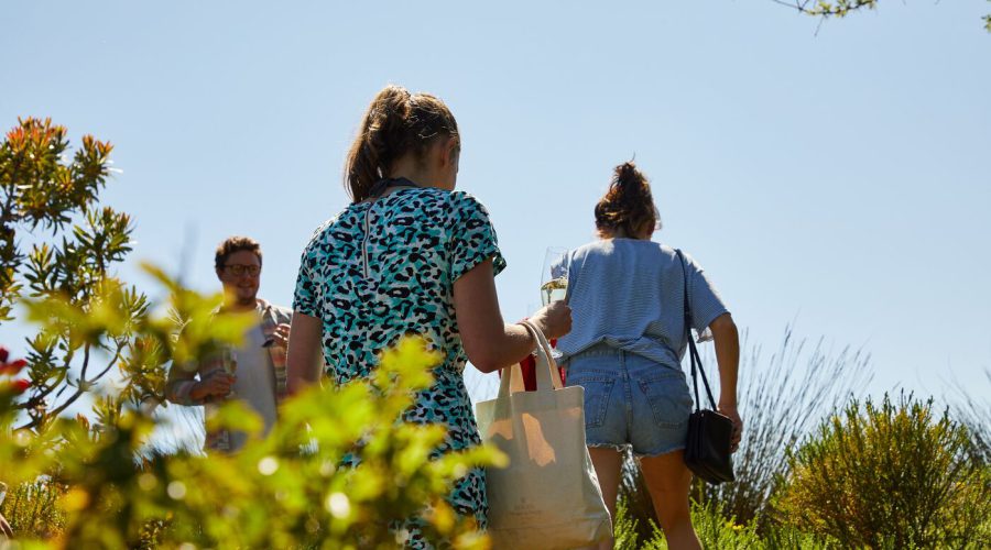 What Nature Teaches Us About Slowing Down