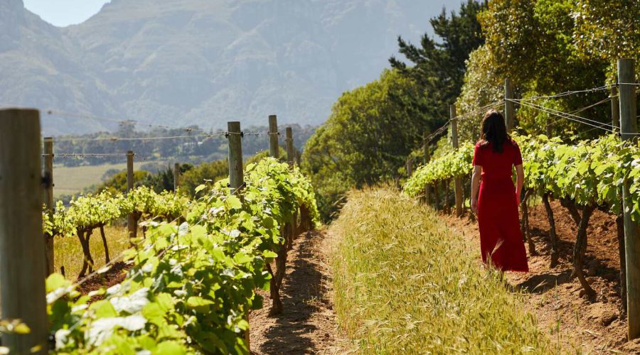 A Day in Elgin Valley With Your Phone on Silent