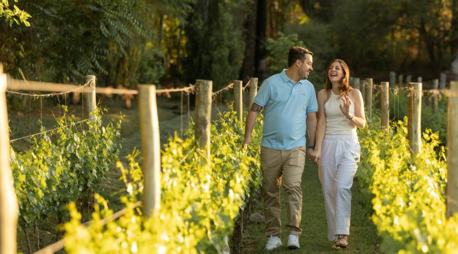 How to Spend R500 in Elgin Valley Without Wasting a Cent