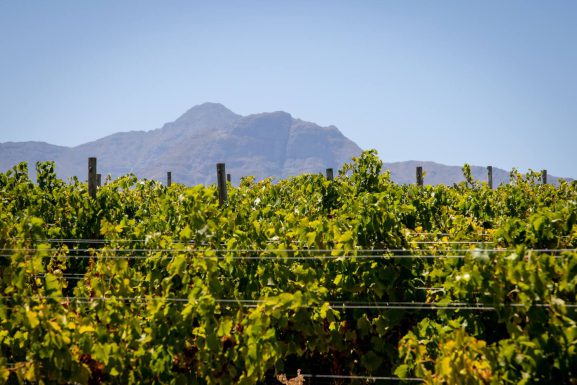 Visitors enjoying a longer stay in Elgin Valley while exploring orchards, mountain scenery, local cafés, and peaceful countryside.