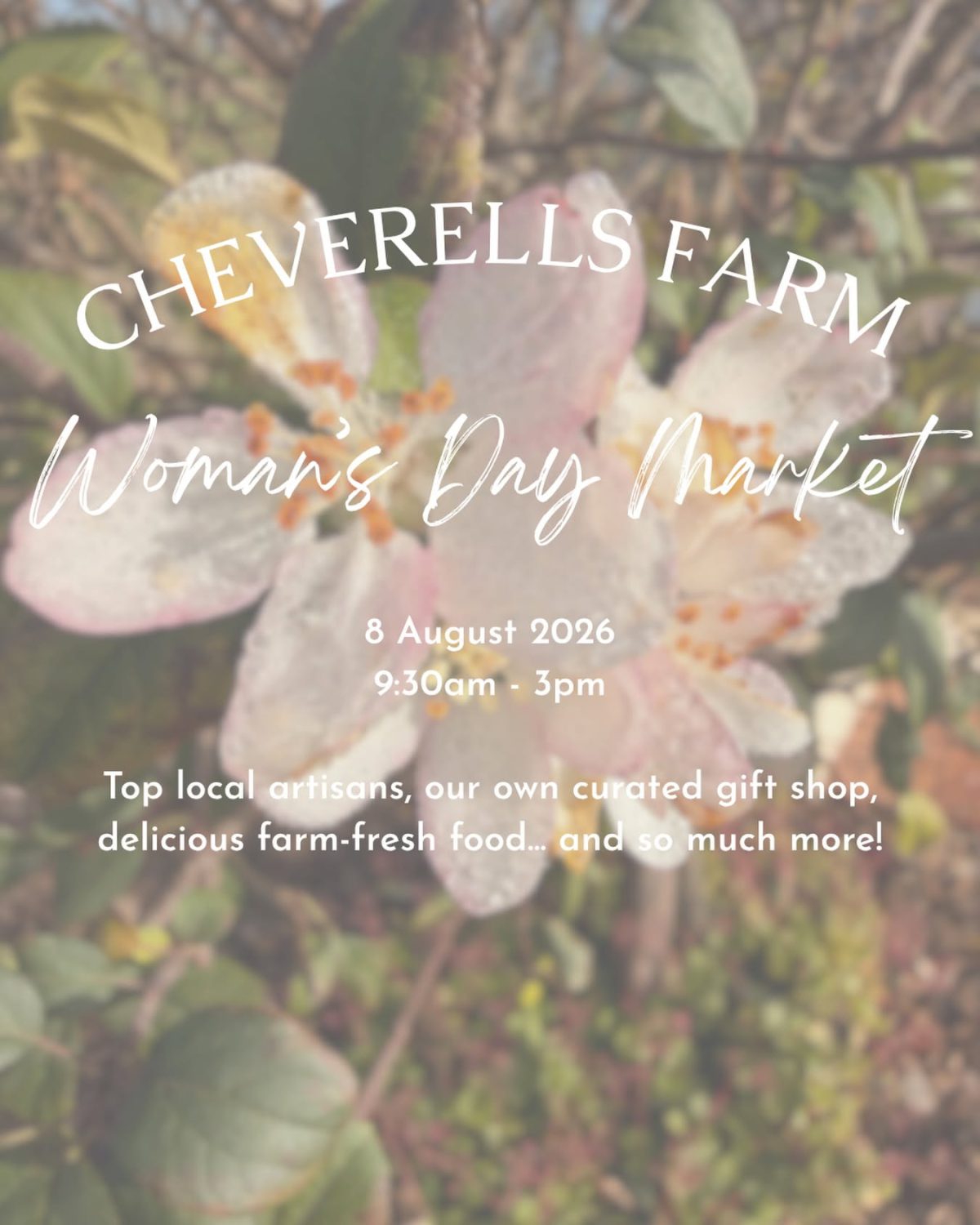 Cheverell’s Women’s Day Market